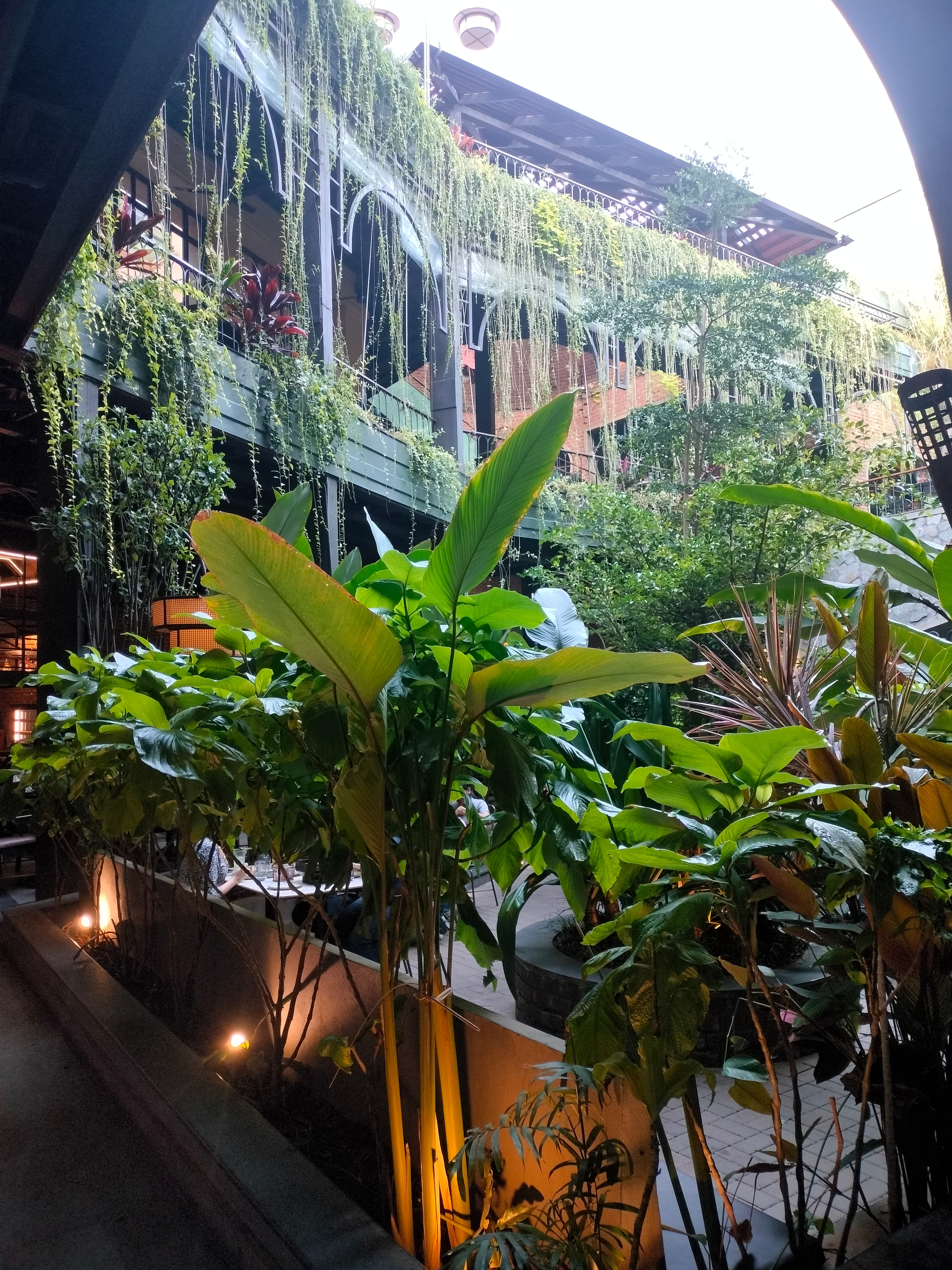 Office Party - Image 2